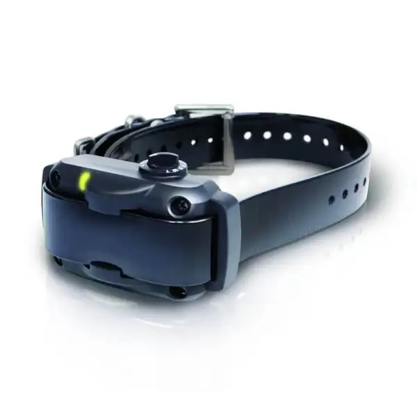 Collier Anti-Aboiement Dogtra YS600 Rechargeable & Étanche