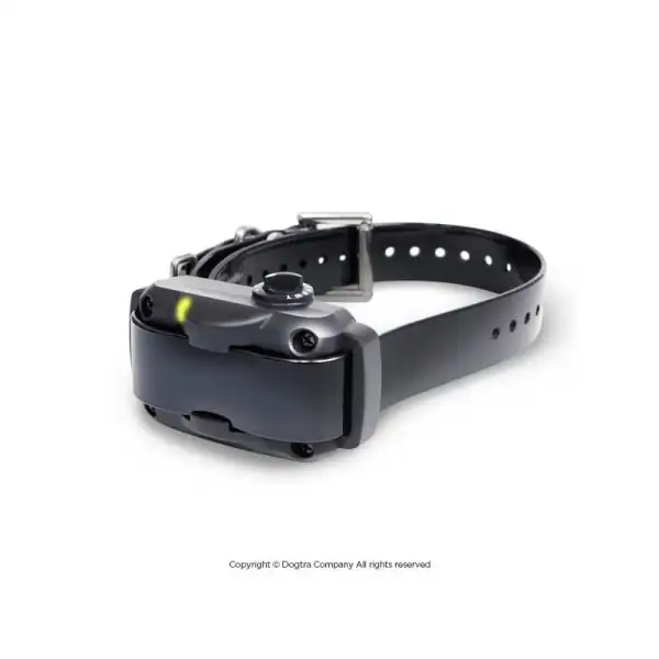 Collier Anti-Aboiement Dogtra YS600 Rechargeable & Étanche