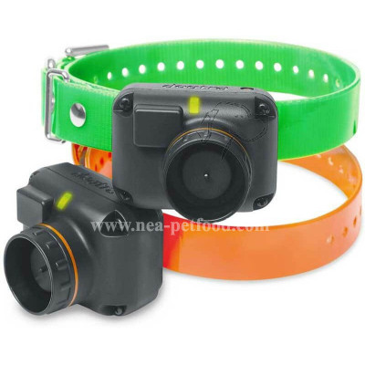 Dogtra Collier supplémentaire 2600 T&B vert et orange Dogtra Collier supplémentaire 2600 T&B vert et orange