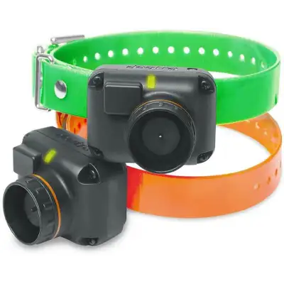 Dogtra Collier supplémentaire 2600 T&B vert et orange