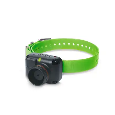 Collier supplémentaire 2600 T&B