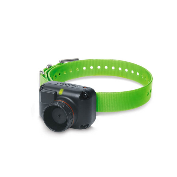 Collier supplémentaire 2600 T&B