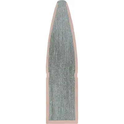 REMINGTON calibre 30-06 180GR PSP balle pour carabine calibre 30.06