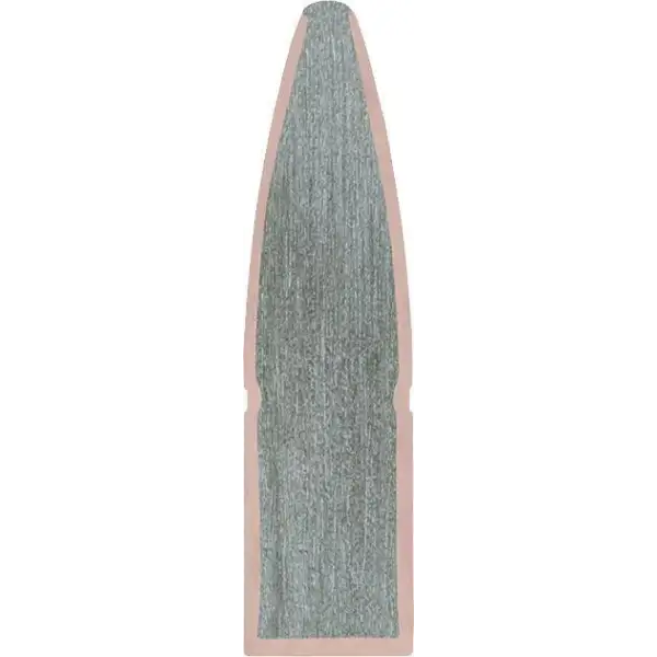 REMINGTON calibre 30-06 180GR PSP balle pour carabine calibre 30.06