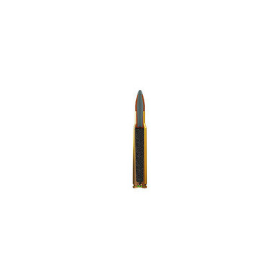 Winchester .300 WM Power-Point 180 gr — pénétration et précision balistique