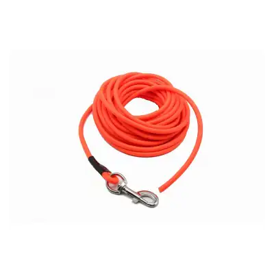 Longe de 10 metres pour faire le pied (les traces) a la chasse au sanglier