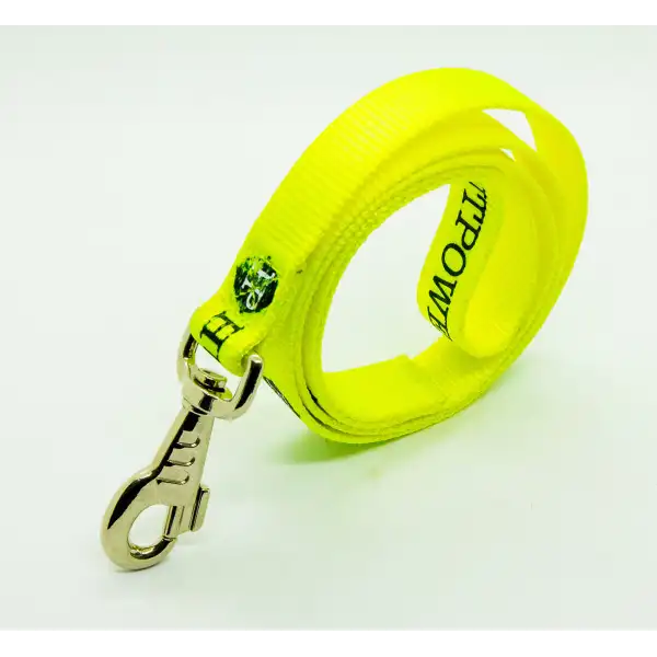LAISSE DESTOCK HUNTPOWER SIMPLE 19 MM – Pratique, légère et résistante