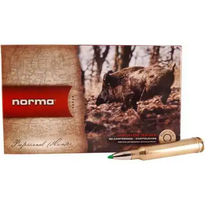 CARTOUCHE NORMA / CAL. 300 WIN. MAG. 180gr - PPDC 11,7 G