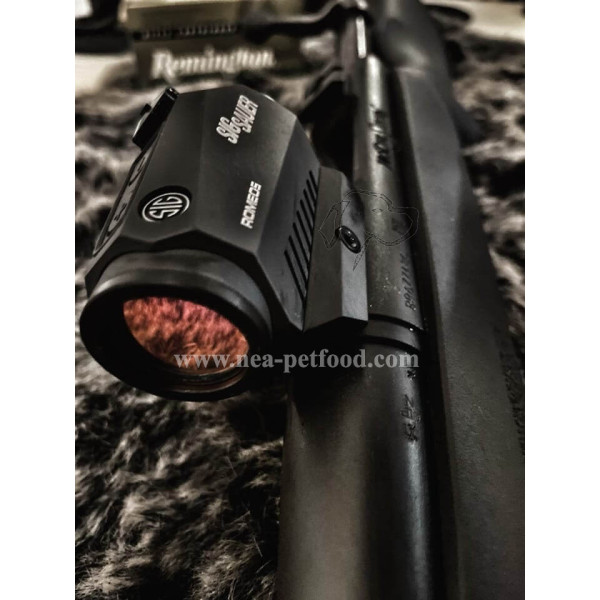 Viseur point rouge ROMEO5 SIGSAUER 1x20 LIV OFFERTE