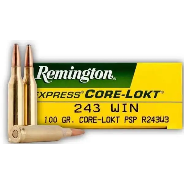 MUNITIONS REMINGTON CORE-LOKT .243 WIN 100 GR PSP