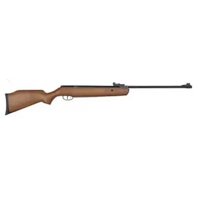 Carabine à plombs Crosman...