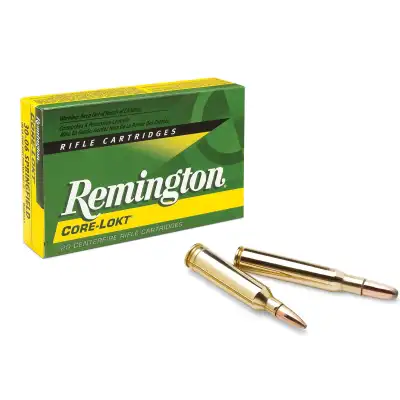 10 boîtes de 20 munitions Remington Core-Lokt PSP 300WM 180 gr fiables et puissantes