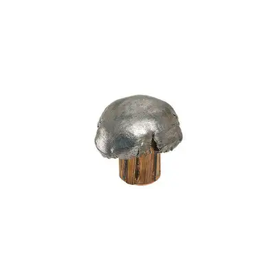 Carton 30-06 Springfield Winchester Power Point 180 gr précis et fiable