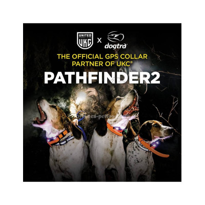 PATHFINDER 2 DOGTRA centrale + collier LIVRAISON GRATUITE PATHFINDER 2 DOGTRA centrale + collier LIVRAISON GRATUITE