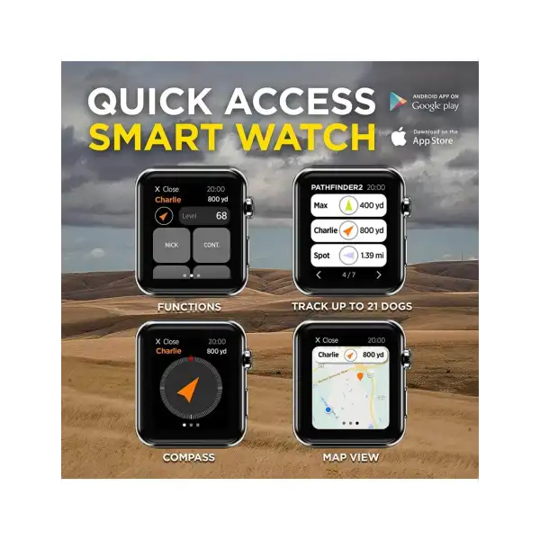 PATHFINDER 2 de chez Dogtra centrale + collier reperage dressage