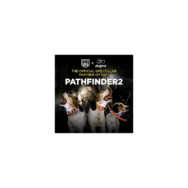 PATHFINDER 2 de chez Dogtra centrale + collier reperage dressage
