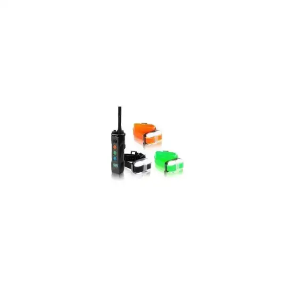 Dogtra 4503 Edge 3 Colliers de Dressage pour 3 Chiens
