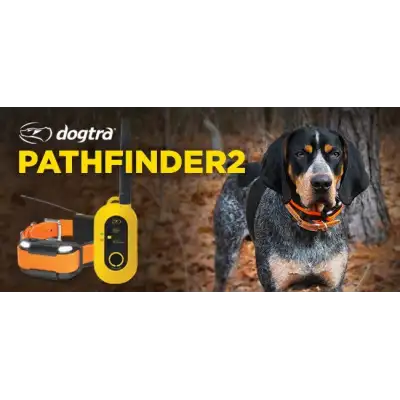 Collier pour Dogtra Pathfinder 2 vert, bleu noir, orange localisation + dressage