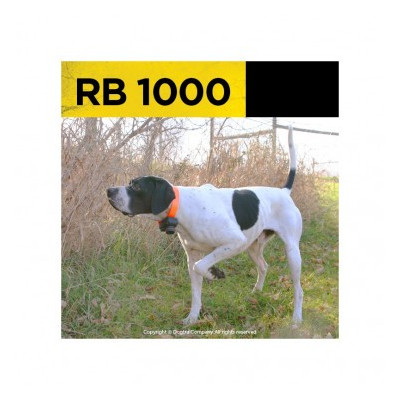DOGTRA BEEPER RB1000, beeper avec télécommande - DOGTRA Beeper STB BEEP/HAWK & RB1000 - LA PANOPLIE DOGTRA, PATHFINDER, 2600, DR