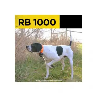 DOGTRA BEEPER RB1000, beeper avec télécommande - DOGTRA Beeper STB BEEP/HAWK & RB1000 - LA PANOPLIE DOGTRA, PATHFINDER, 2600, DR