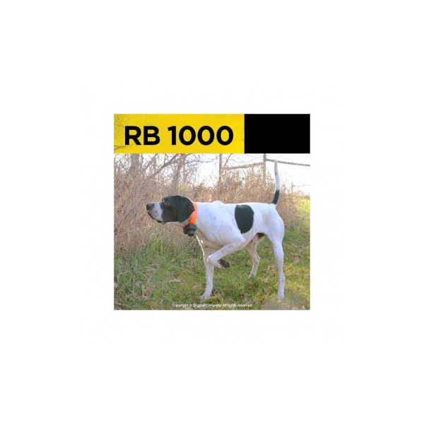 DOGTRA BEEPER RB1000, beeper avec télécommande - DOGTRA Beeper STB BEEP/HAWK & RB1000 - LA PANOPLIE DOGTRA, PATHFINDER, 2600, DR