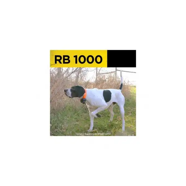 DOGTRA BEEPER RB1000, beeper avec télécommande - DOGTRA Beeper STB BEEP/HAWK & RB1000 - LA PANOPLIE DOGTRA, PATHFINDER, 2600, DR