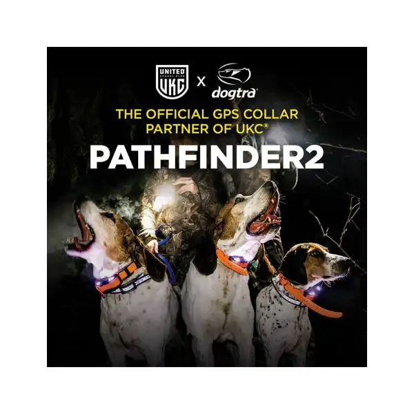 PATHFINDER 2 DOGTRA centrale + collier ARMURERIE NEA