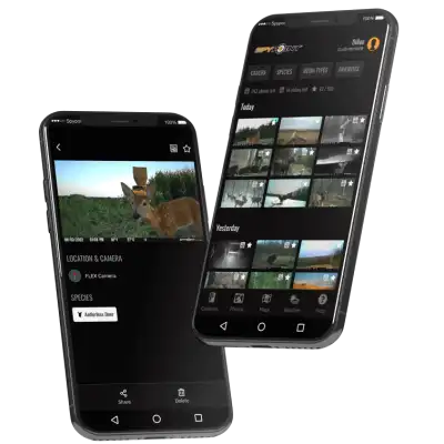 Pack complet Flex S avec carte SD, casquette & antenne 4G