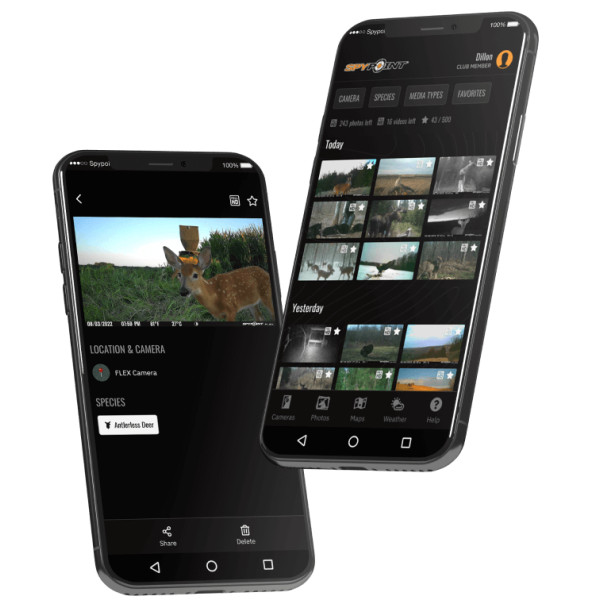 Pack complet Flex S avec carte SD, casquette & antenne 4G