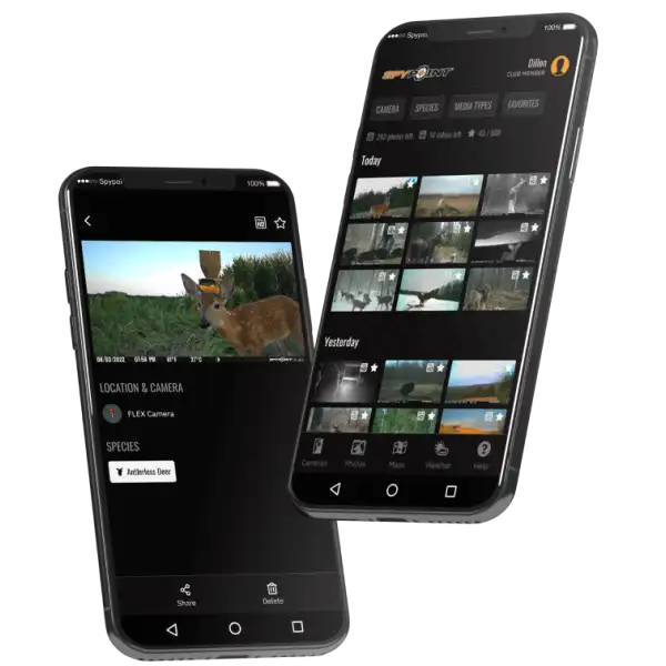 Pack complet Flex S avec carte SD, casquette & antenne 4G
