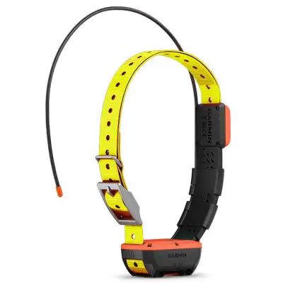 Collier de repérage Garmin TT20 – précision et fiabilité pour chiens de chasse