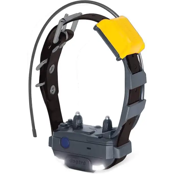 Collier Dogtra Pathfinder 2 localisation + dressage Dogtra pathfinder2