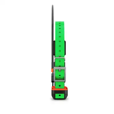 Collier TT25 TT25F GARMIN repérage dressage sangle verte