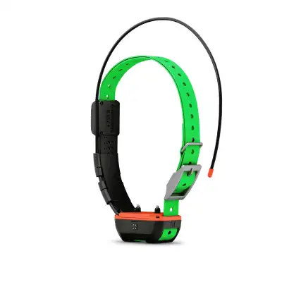 Collier TT25 TT25F GARMIN repérage dressage sangle verte
