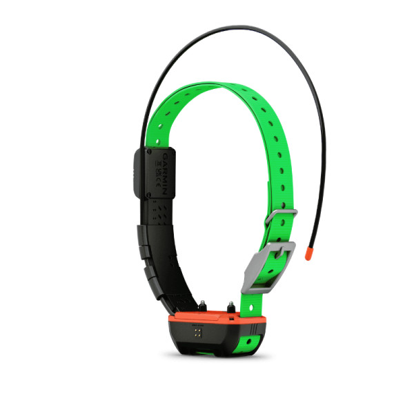 Collier TT25 TT25F GARMIN repérage dressage sangle verte