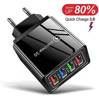 Chargeur 4 ports rapide pour colliers Garmin TT25 et TT20