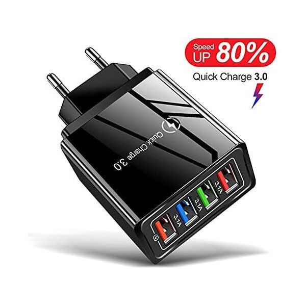 Chargeur 4 ports rapide pour colliers Garmin TT25 et TT20