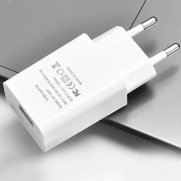 Chargeur pour collier Garmin TT25/TT20 avec adaptateur secteur 5V