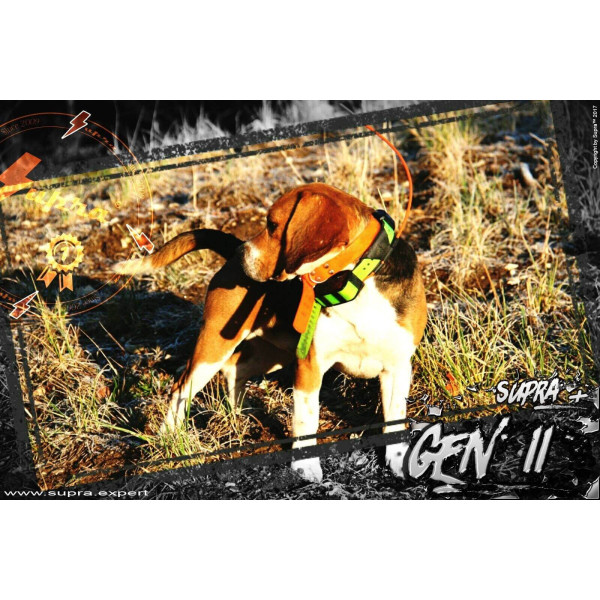 Antenne acier câblé SUPRA +