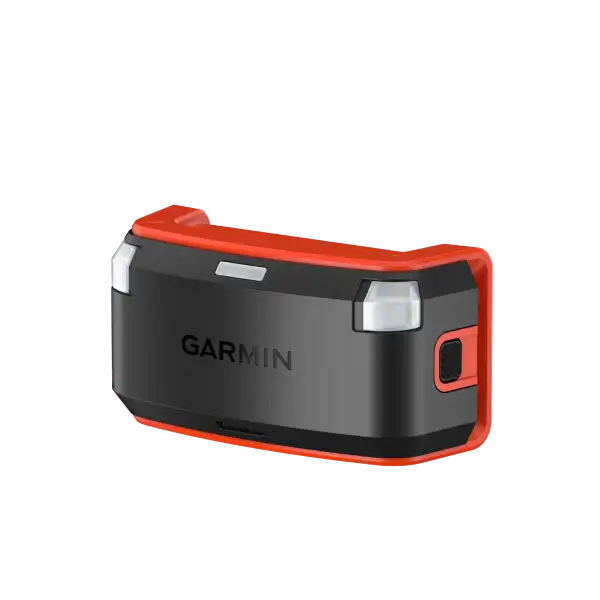Collier de repérage Alpha LTE Garmin fiable et connecté pour chiens de chasse