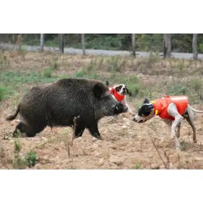 Gilet BROWNING Protect Pro by Cano Concept