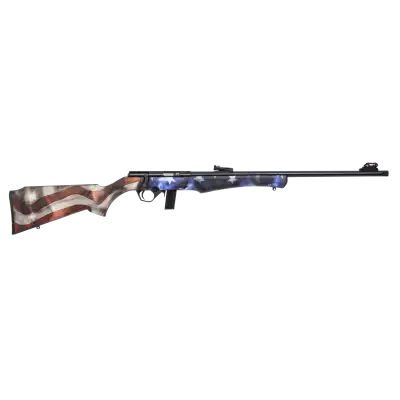 CARABINE 8122 22LR USA + MDS + LIVRAISON GRATUITE