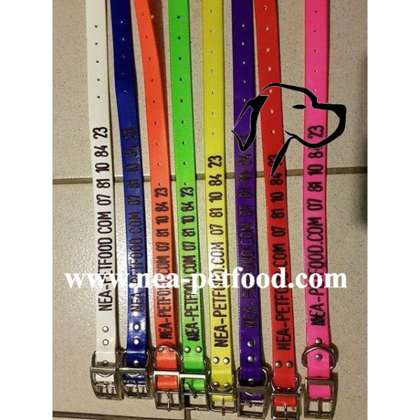 Collier pour chien personnalisé gravé solide US 24 mm