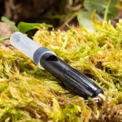 Sifflet de souris Weisskirchen 2 efficace pour la chasse au renard