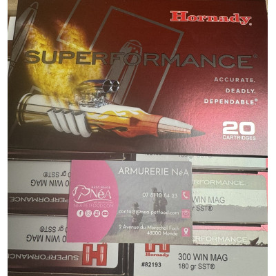 BALLES HORNADY 300 WIN. MAGNUM SUPERFORMANCE SST 82193