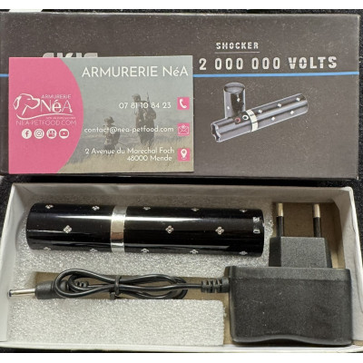 LIPSTICK Noir AKIS 2 000 000 Volts avec lampe