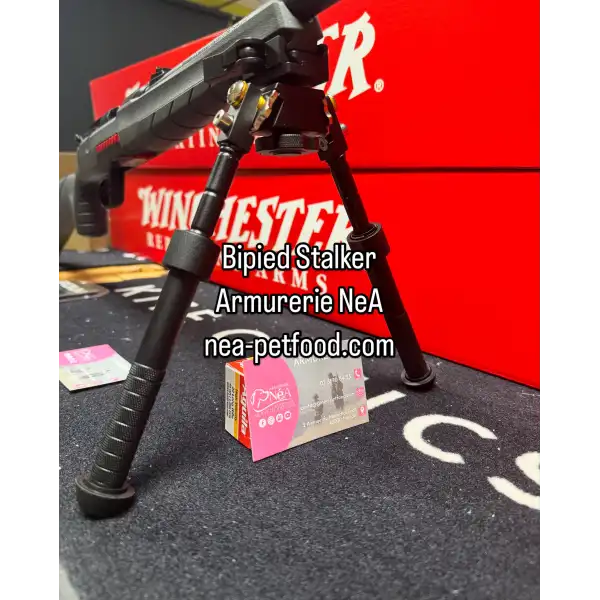 Bipied Stalker US T9