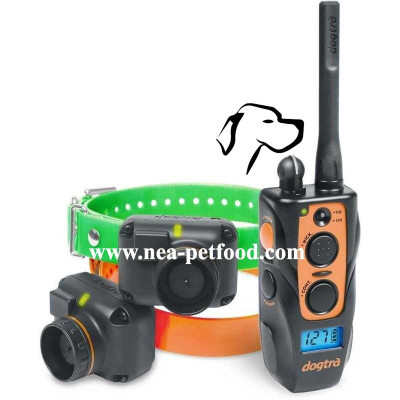 Collier de dressage Dogtra 2602 T&B Collier de dressage Dogtra 2602 T&B