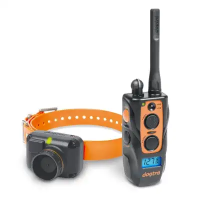 2600 T&B DOGTRA ideal pour chien bécassier LIVRAISON OFFERTE 2600 T&B DOGTRA ideal pour chien bécassier LIVRAISON OFFERTE