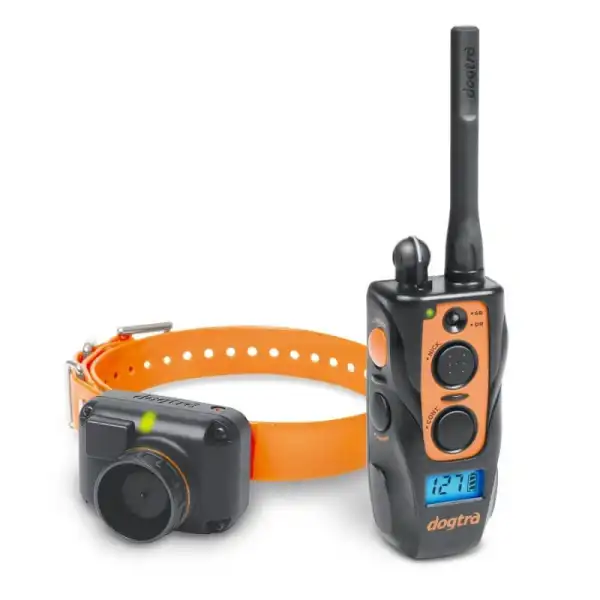 2600 T&B DOGTRA ideal pour chien bécassier LIVRAISON OFFERTE